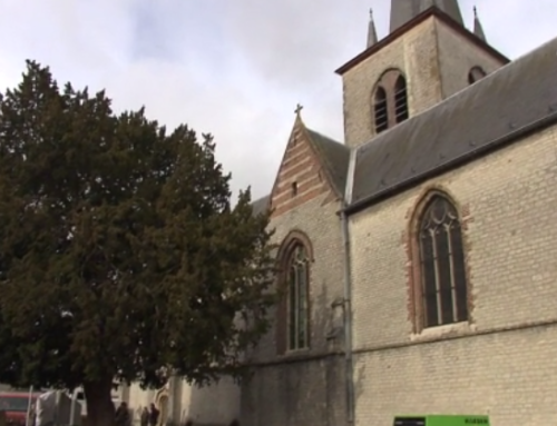 Standplaats verbetering Taxus in Zingem